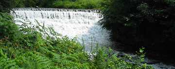 The Weir at Quarry Bank